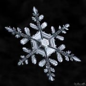 gallery-of-190-of-the-most-amazing-snowflake-pictures-youll-ever-see1__880