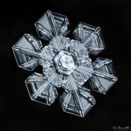 gallery-of-190-of-the-most-amazing-snowflake-pictures-youll-ever-see4__880